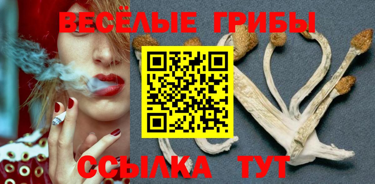 Скопин  Псилоцибиновые грибы Psilocybe  Вход с VPN  Галлюциногенные грибы мицелий 