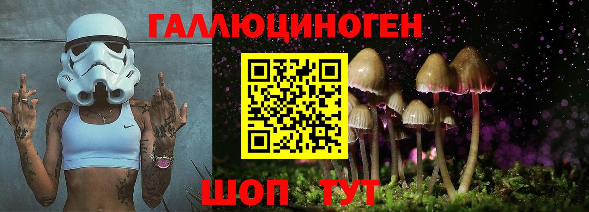 Галлюциногенные грибы GOLDEN TEACHER Скопин